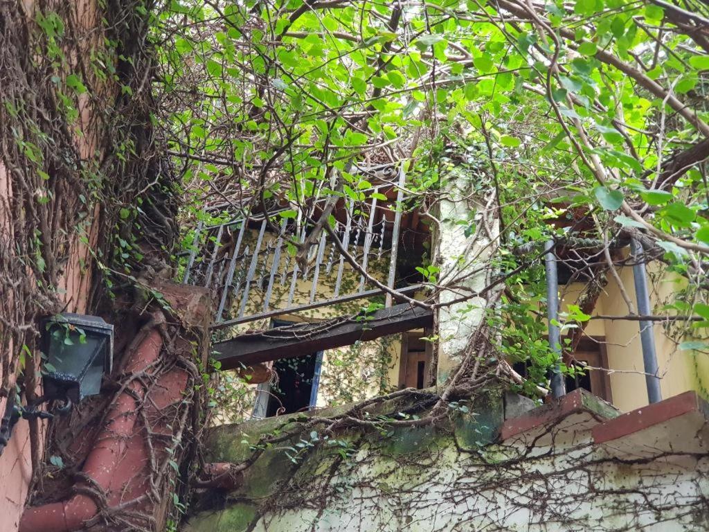 Cafe Hostel Kebab Сальвадор Экстерьер фото